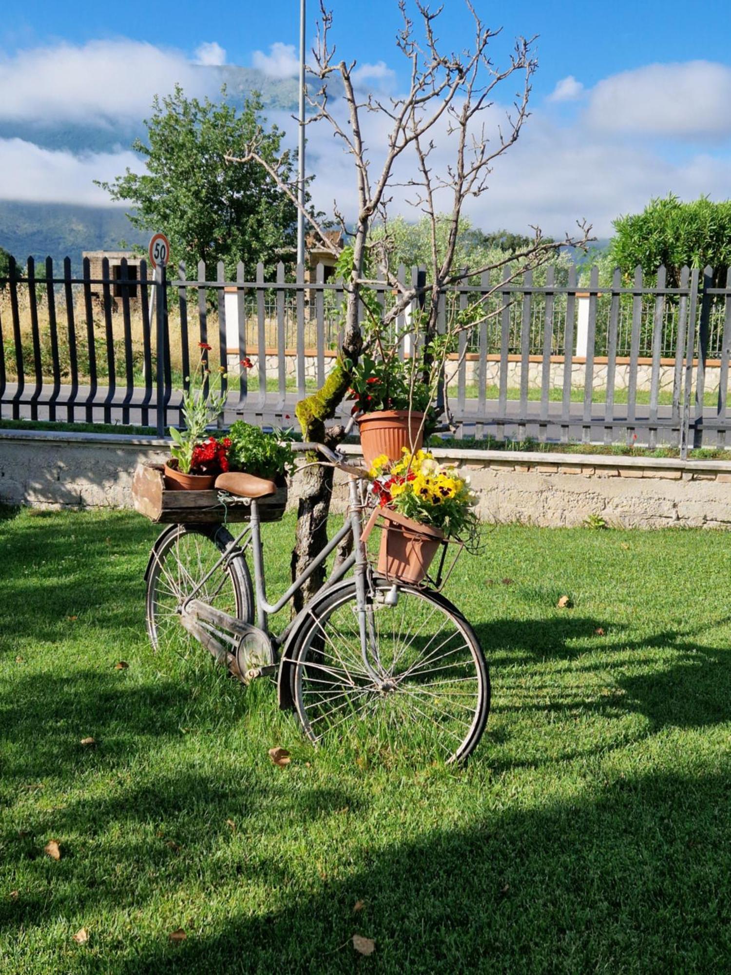 Relax In Campagna - Aquino Apartment Ngoại thất bức ảnh